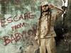 Concert Alborosie Sheng Yeng Clan