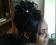 coiffeuse a domicile