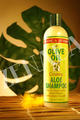 Organic root Stimulator Creamy Aloe Shampoo