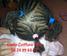 Coiffure Enfant