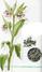 LOTION ANTIACNEIQUE