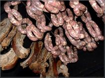 Saucisses