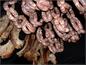 Saucisses