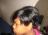 tissage cour rihannna