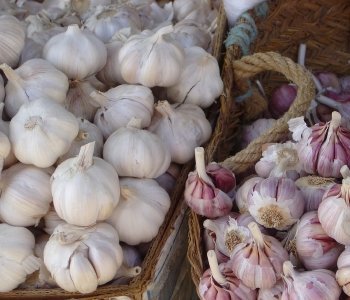 L’ail : un allié de taille pour nos cheveux !